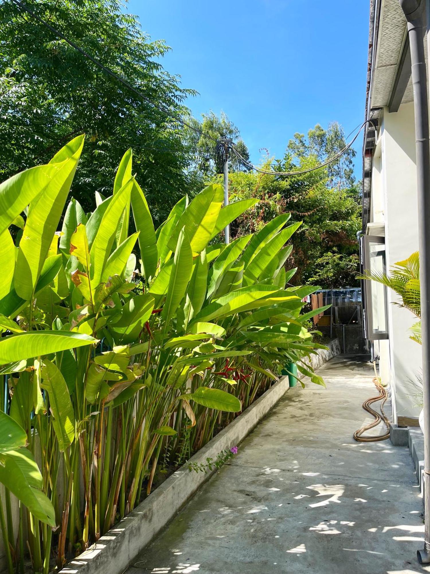 Crest House Beachside - Three-Bedroom Private House On Cham Island Hoi An Tân Hiệ Bagian luar foto
